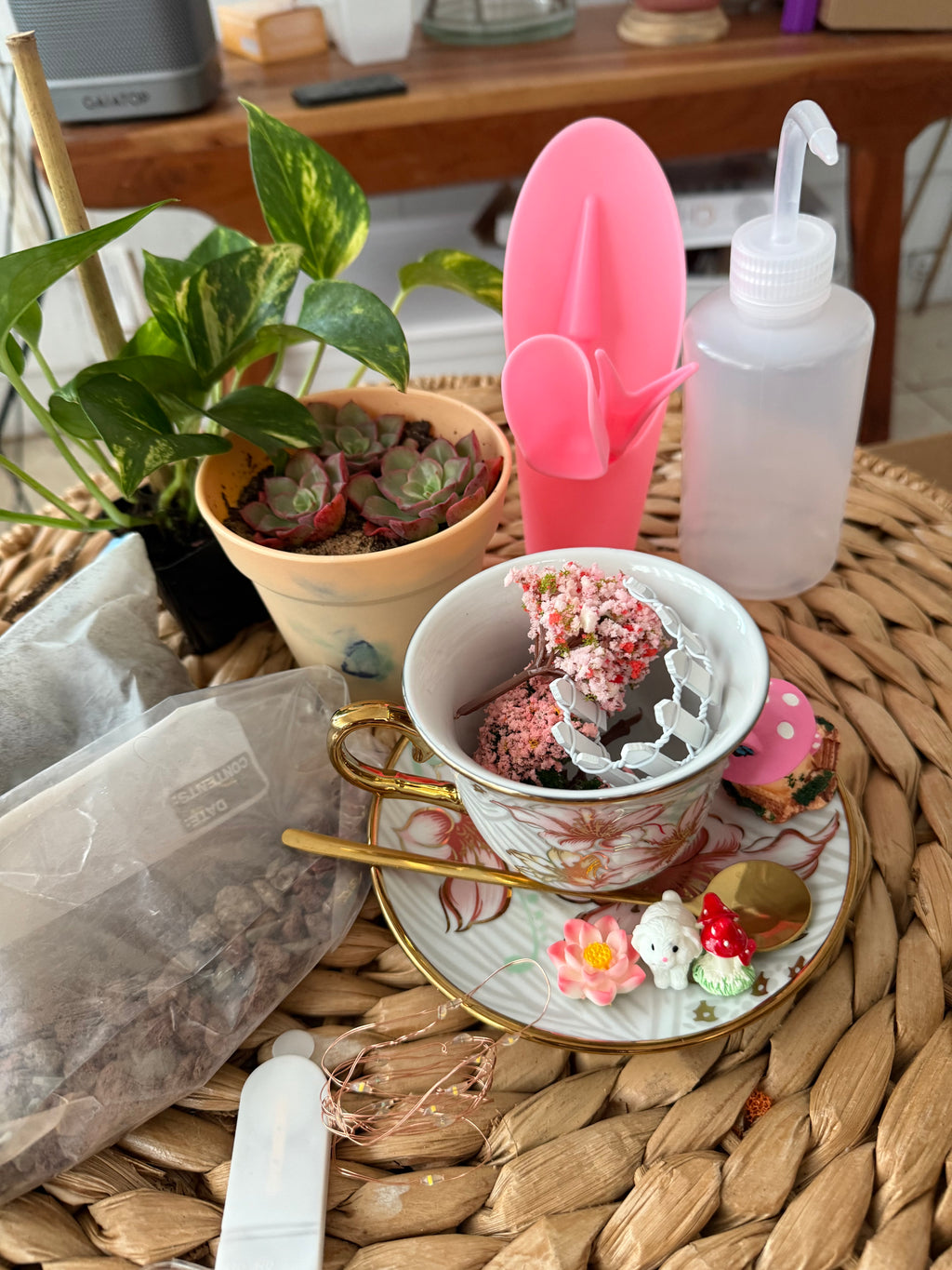 Radiant Night-In Bundle