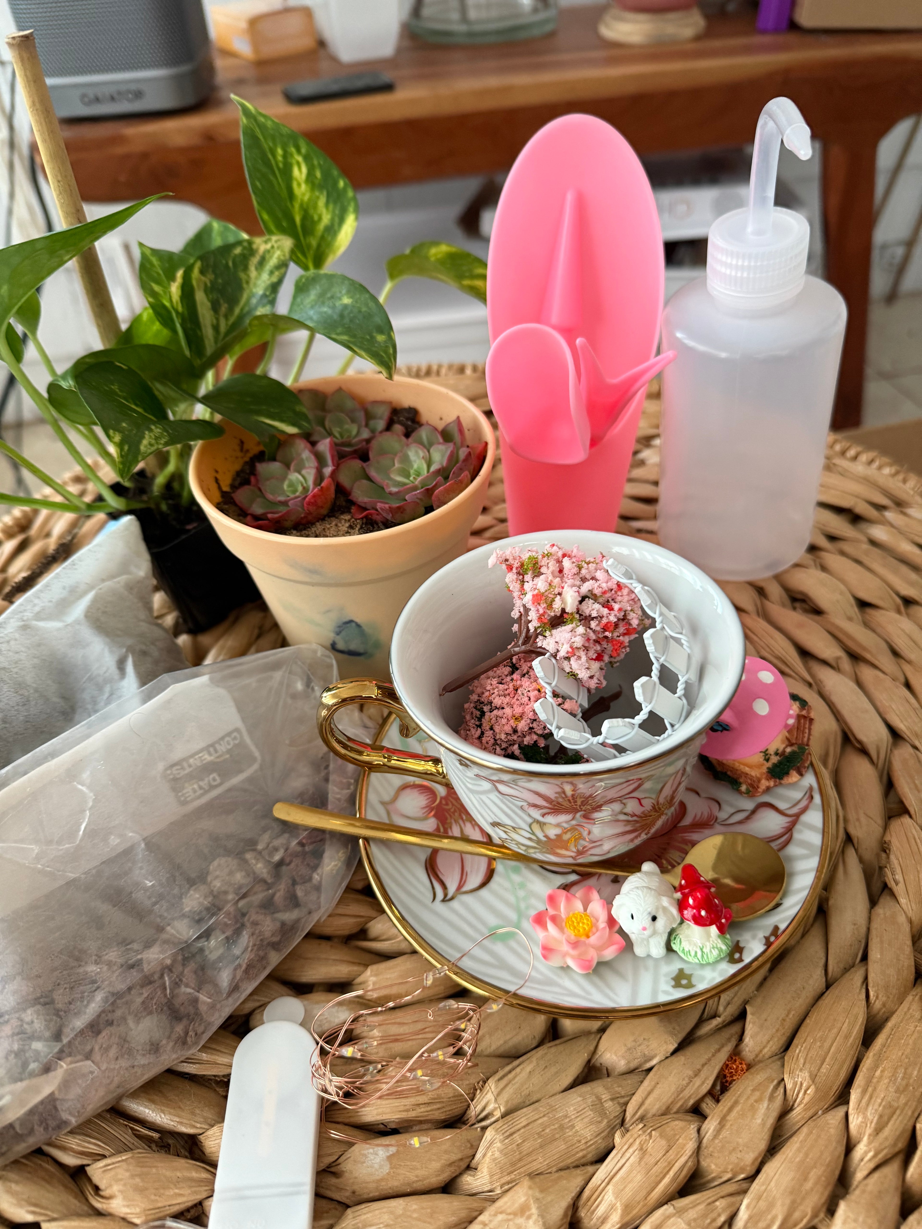 Radiant Night-In Bundle