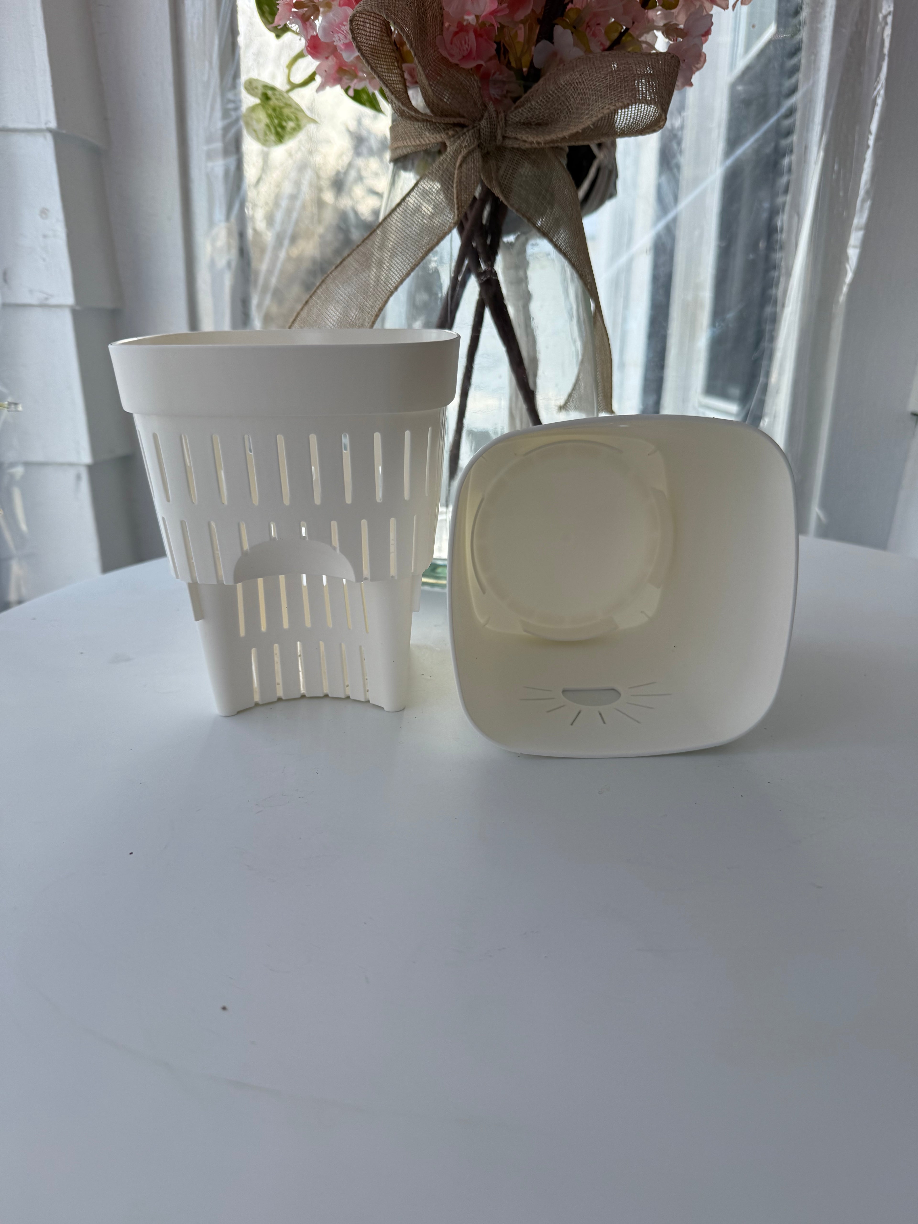 Naked Root Planter (Moonlight)