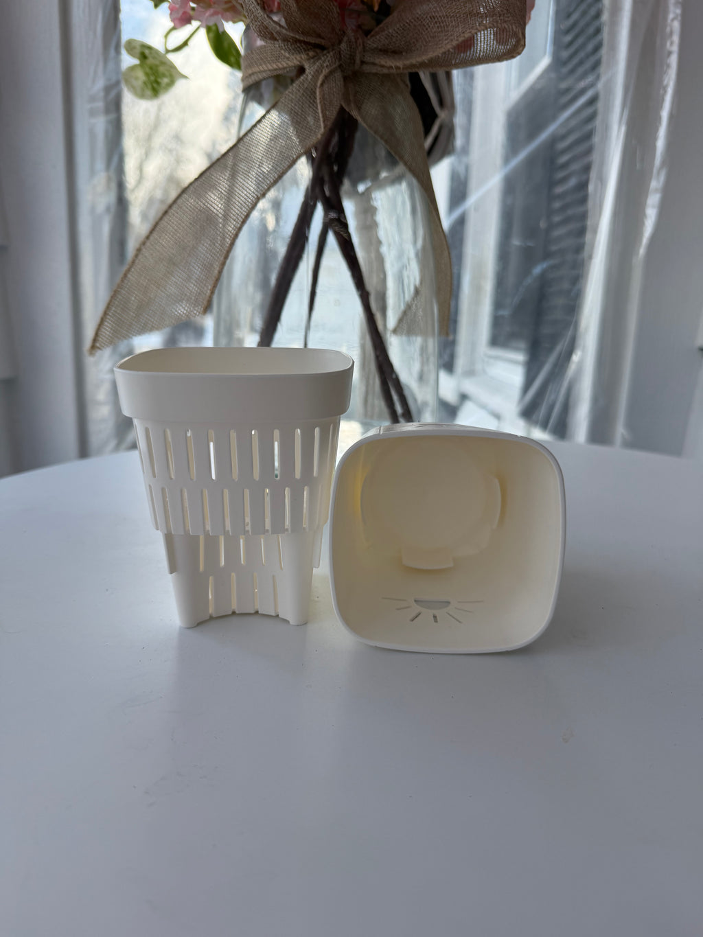 Naked Root Planter (Moonlight)