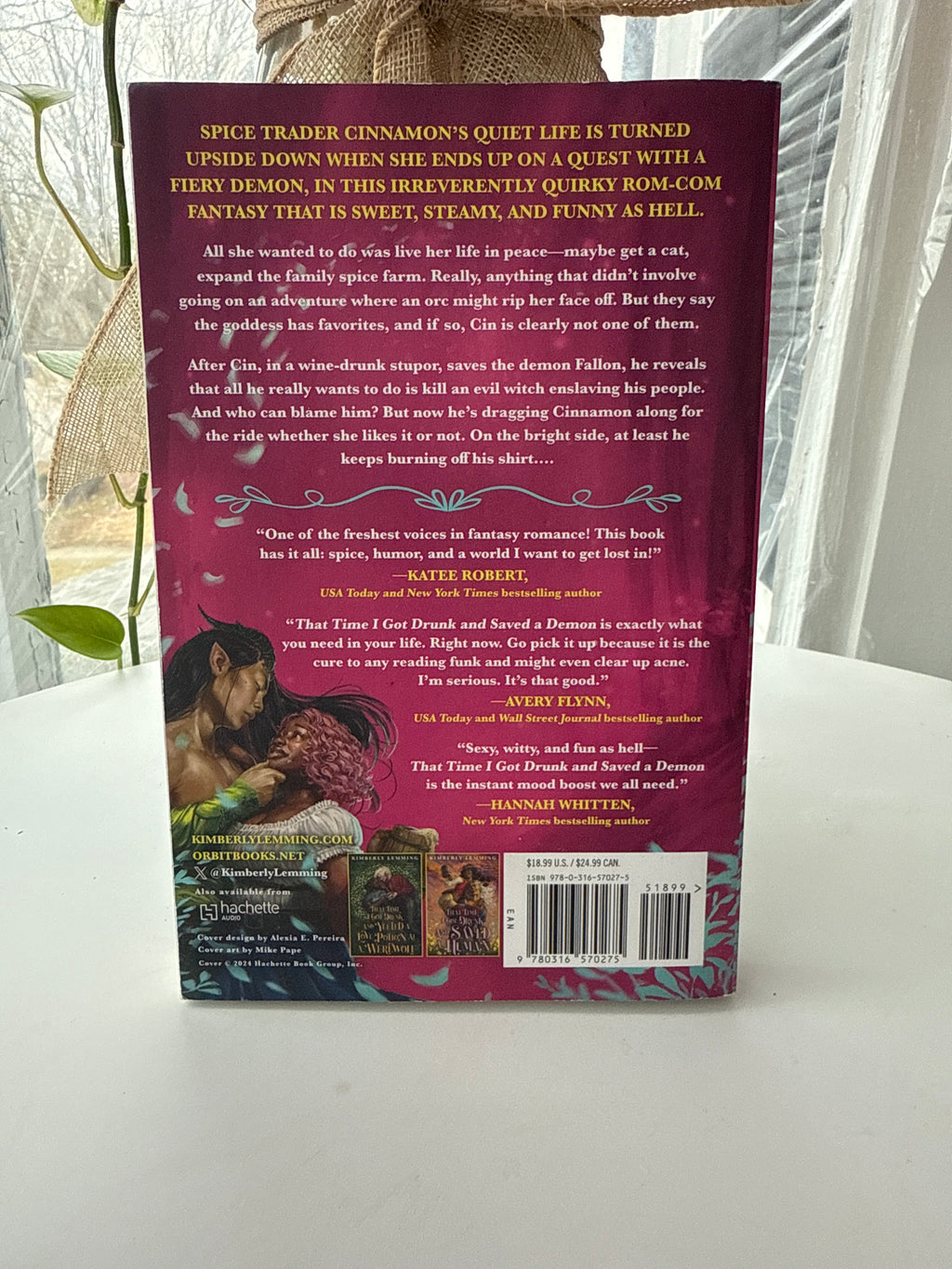 That Time I Got Drunk and Saved a Demon by Kimberly Lemming