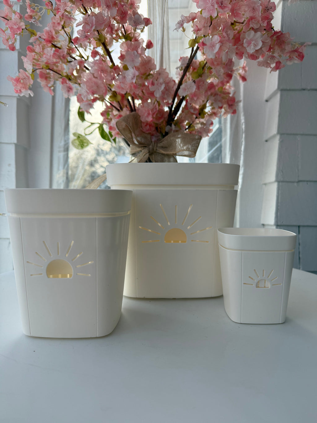 Naked Root Planter (Moonlight)