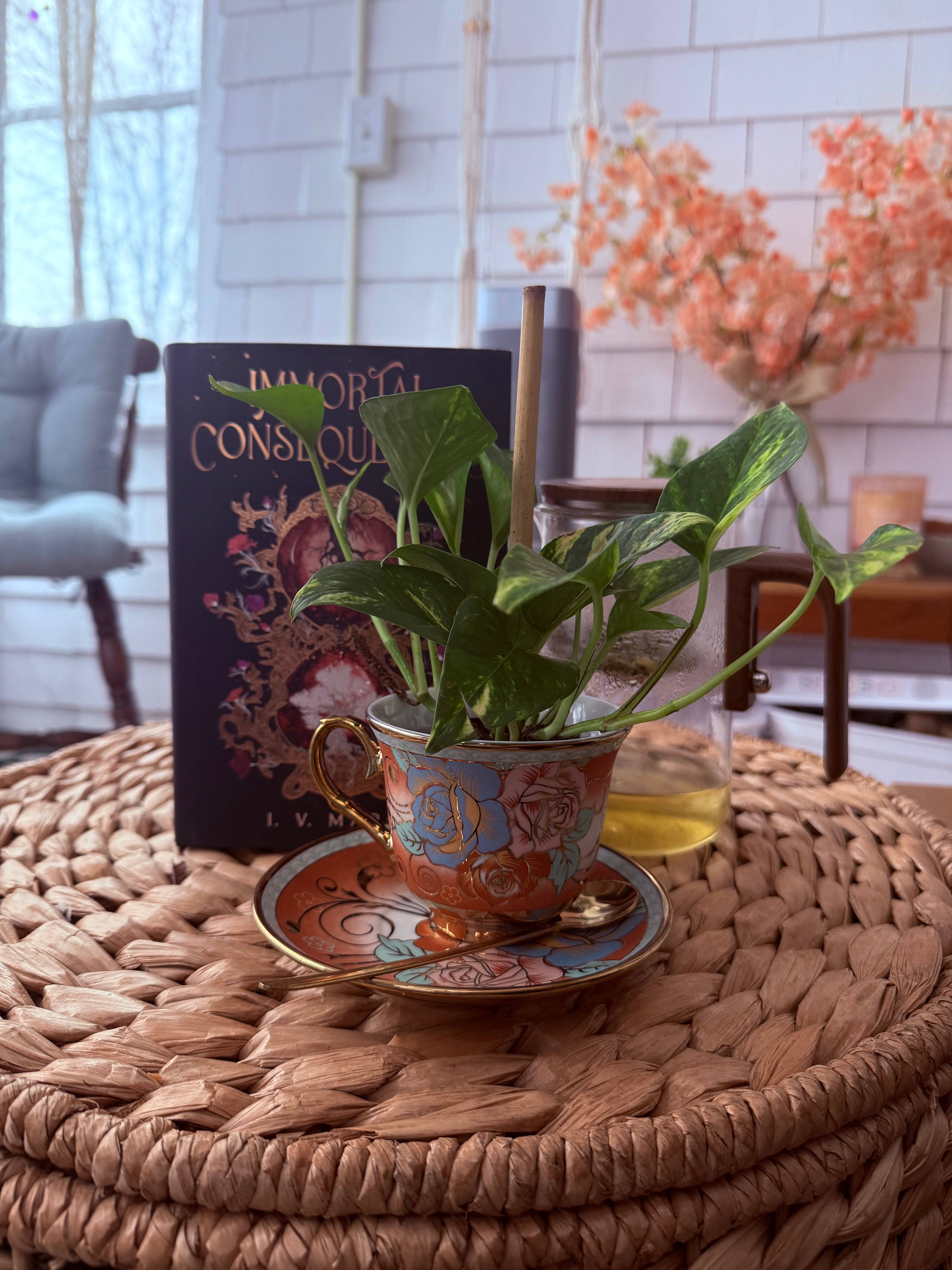 Radiant Night-In Bundle