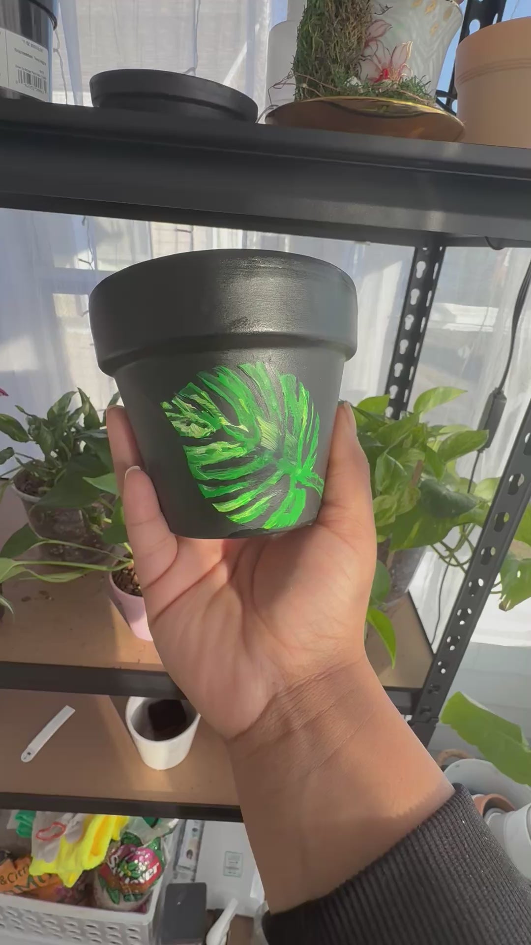 Comfort and Paint set.